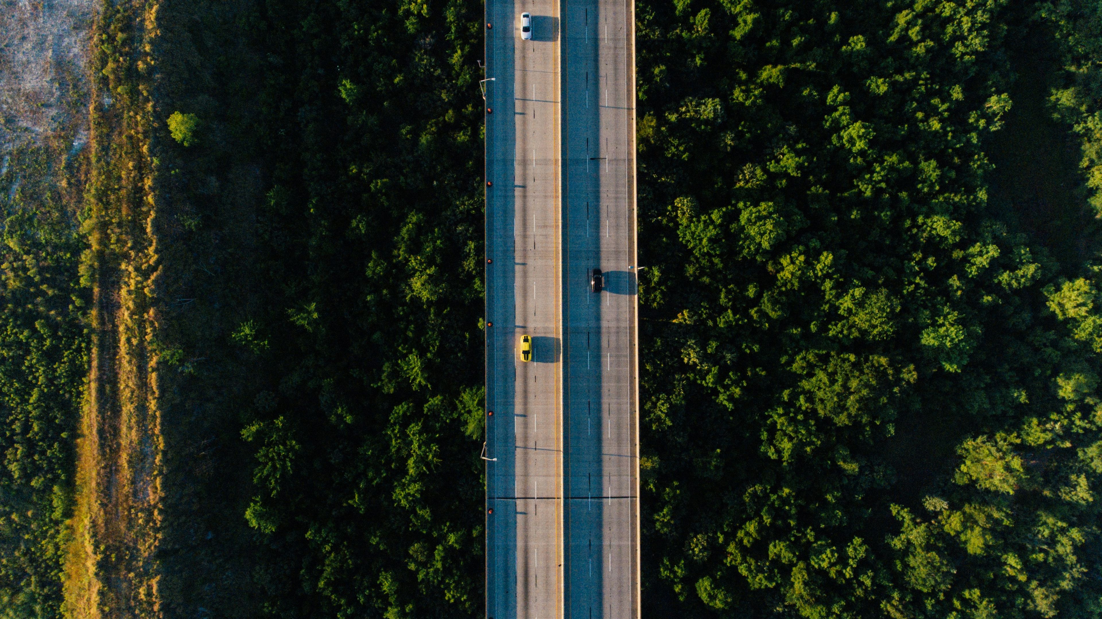 Autos auf einer Straße durch die Natur