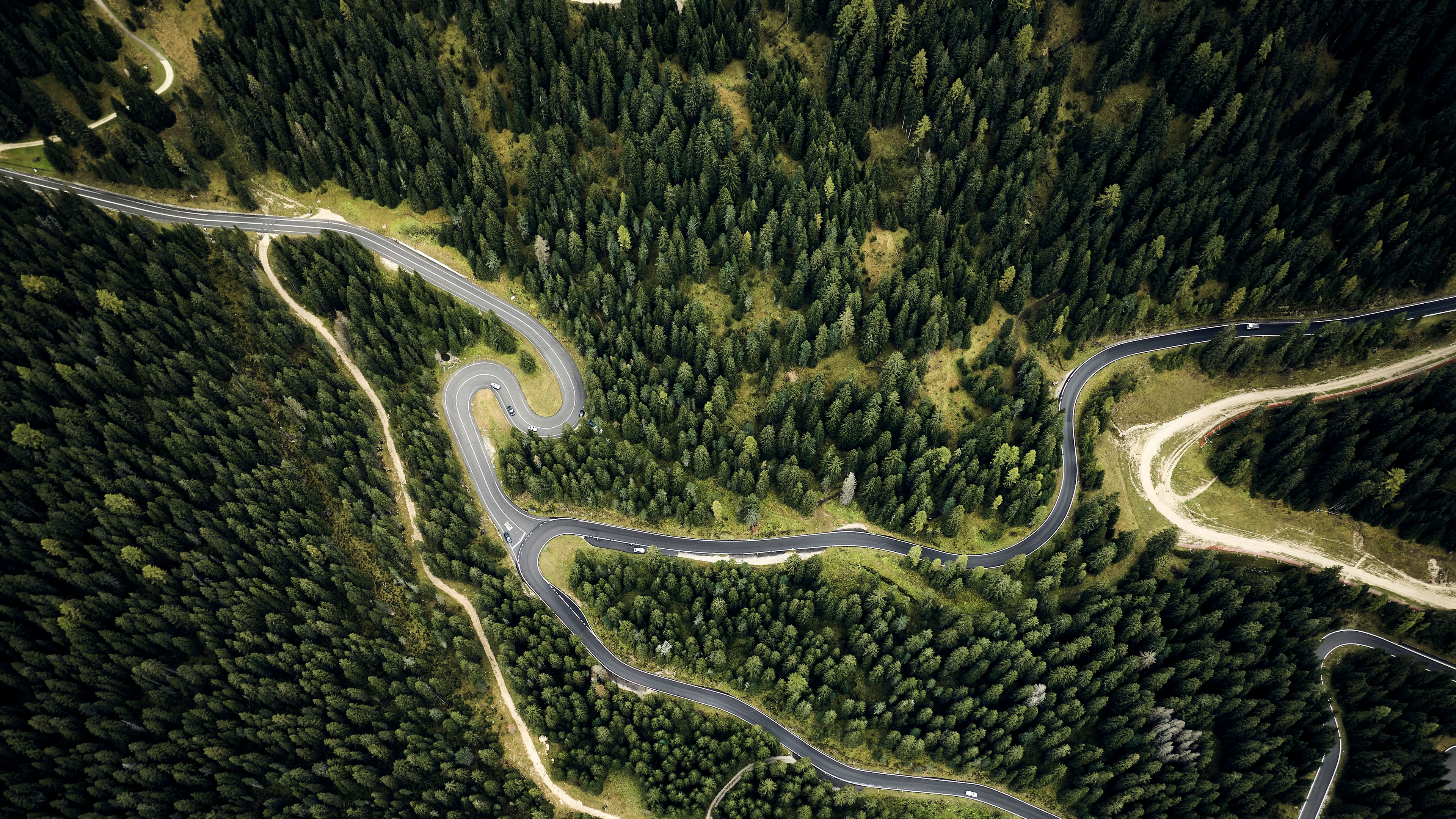 kurvenreiche Straßen durch einen Wald aus der Vogelperspektive