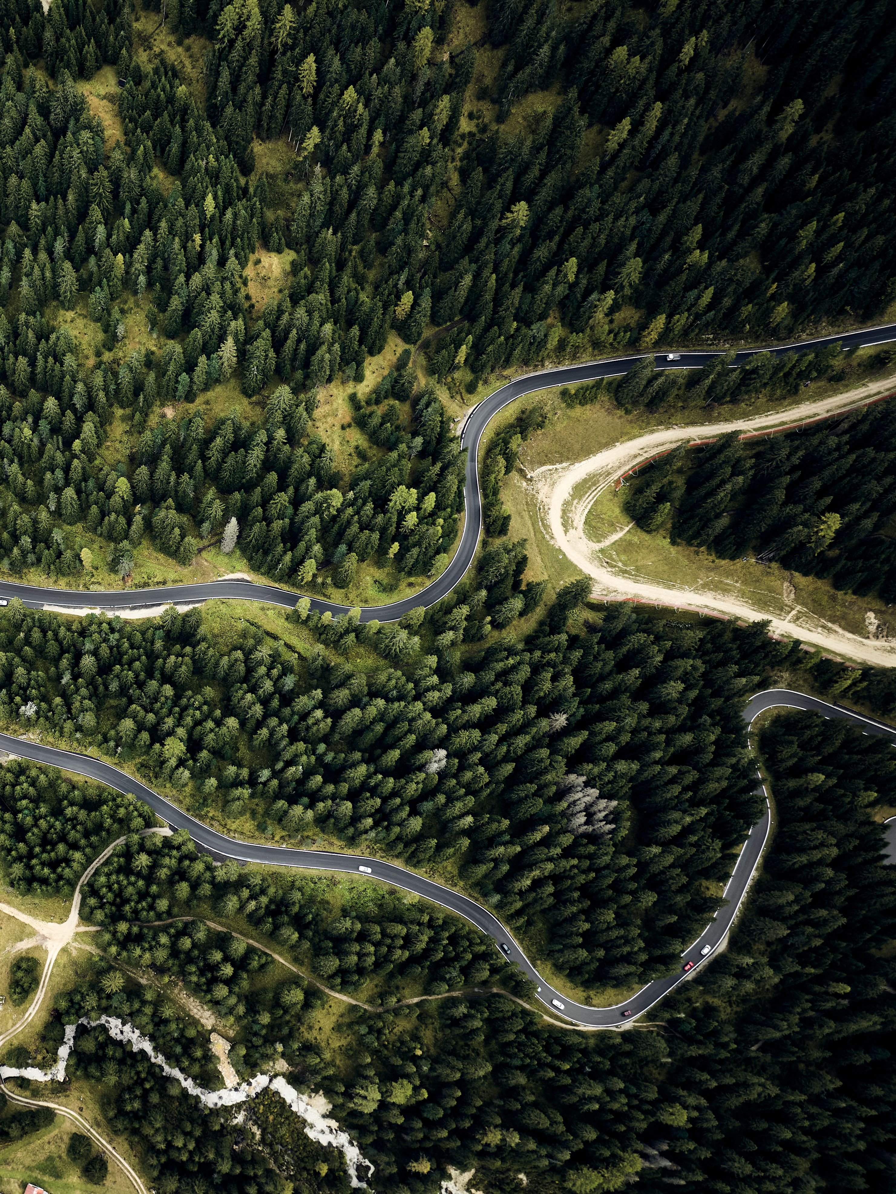 kurvenreiche Straßen durch einen Wald aus der Vogelperspektive