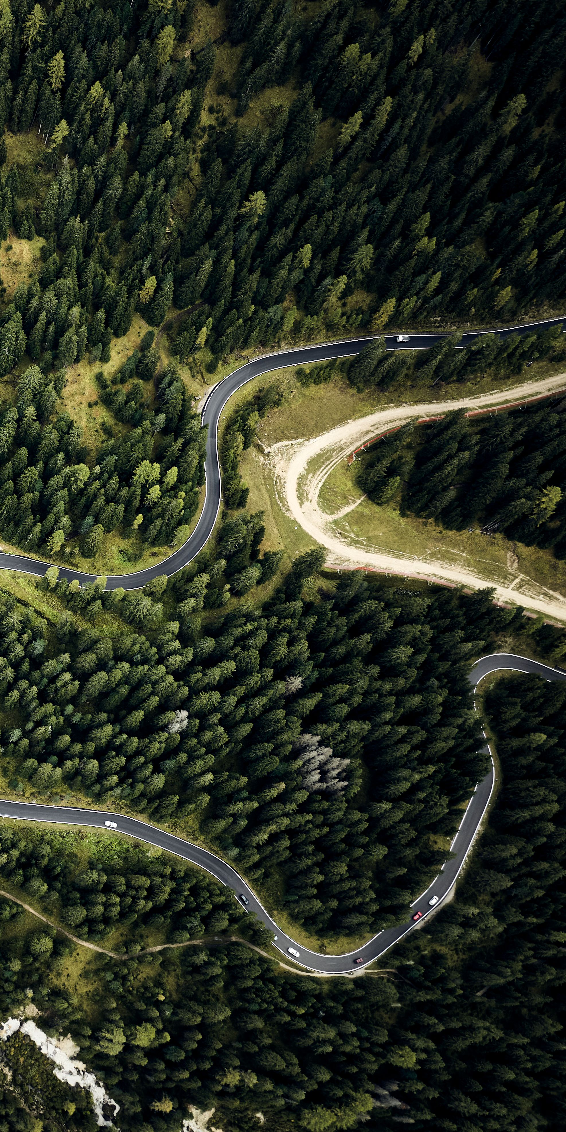 kurvenreiche Straßen durch einen Wald aus der Vogelperspektive