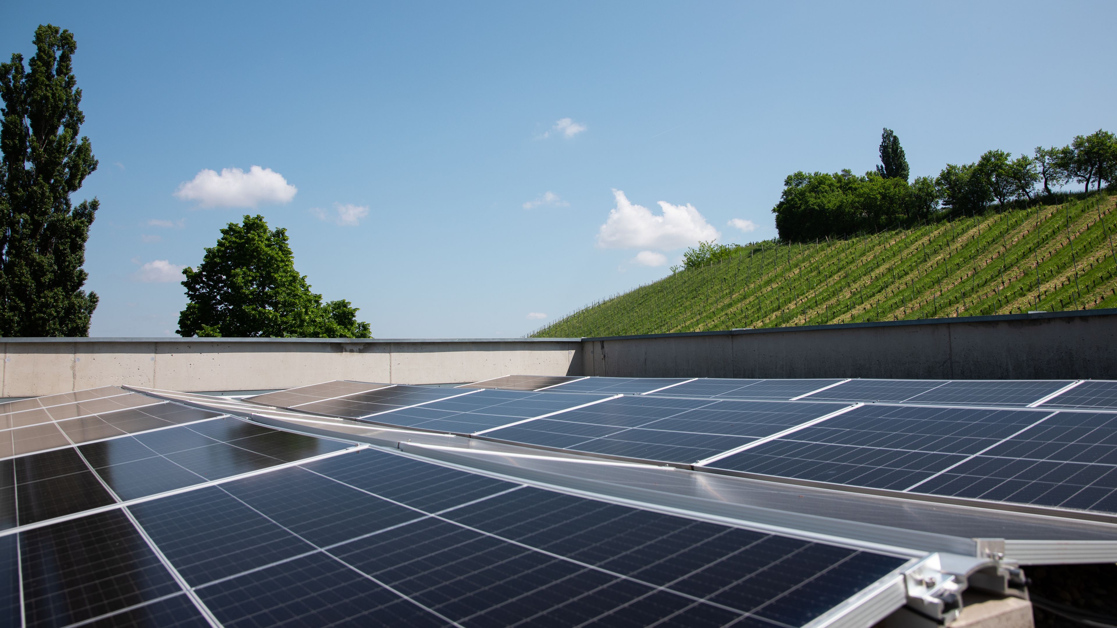 PV-Anlage unter blauem Himmel