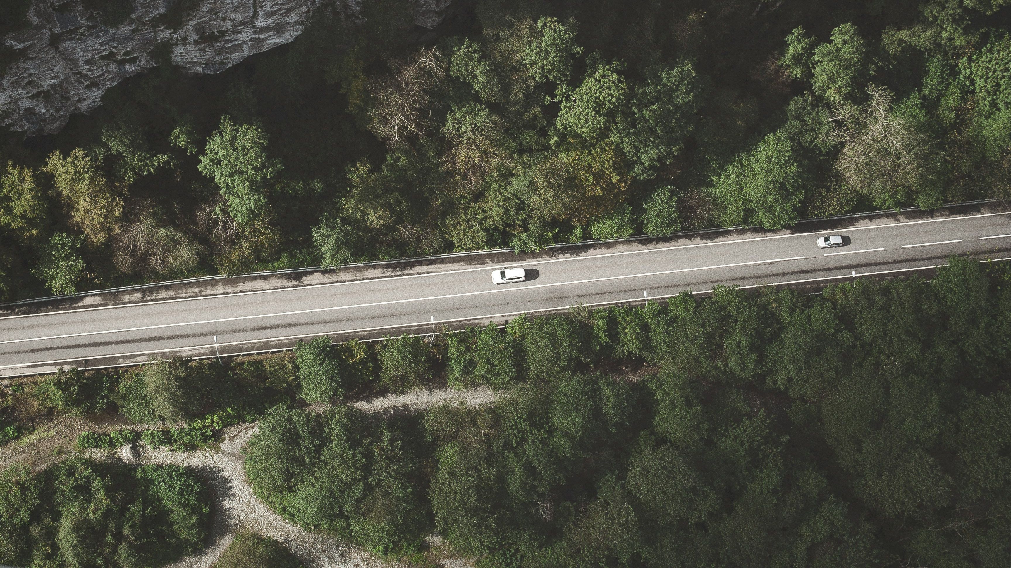 Autos auf einer Straße durch den Wald 