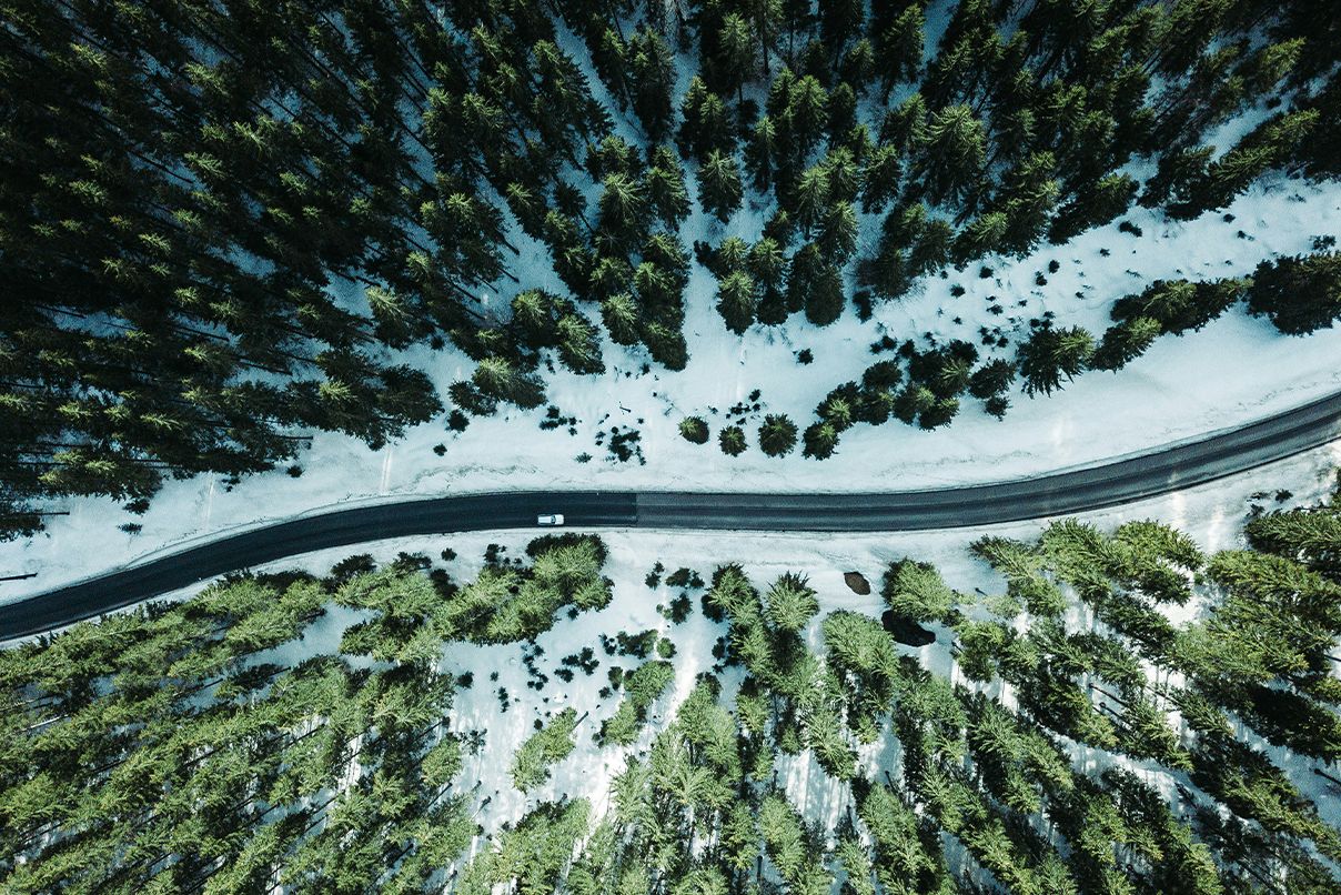Nadelwald mit Schnee aus der Vogelperspektive