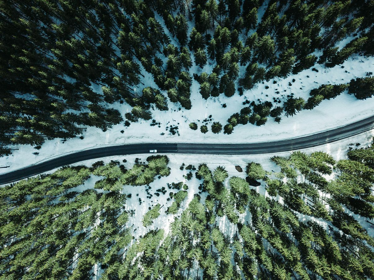 Nadelwald mit Schnee aus der Vogelperspektive