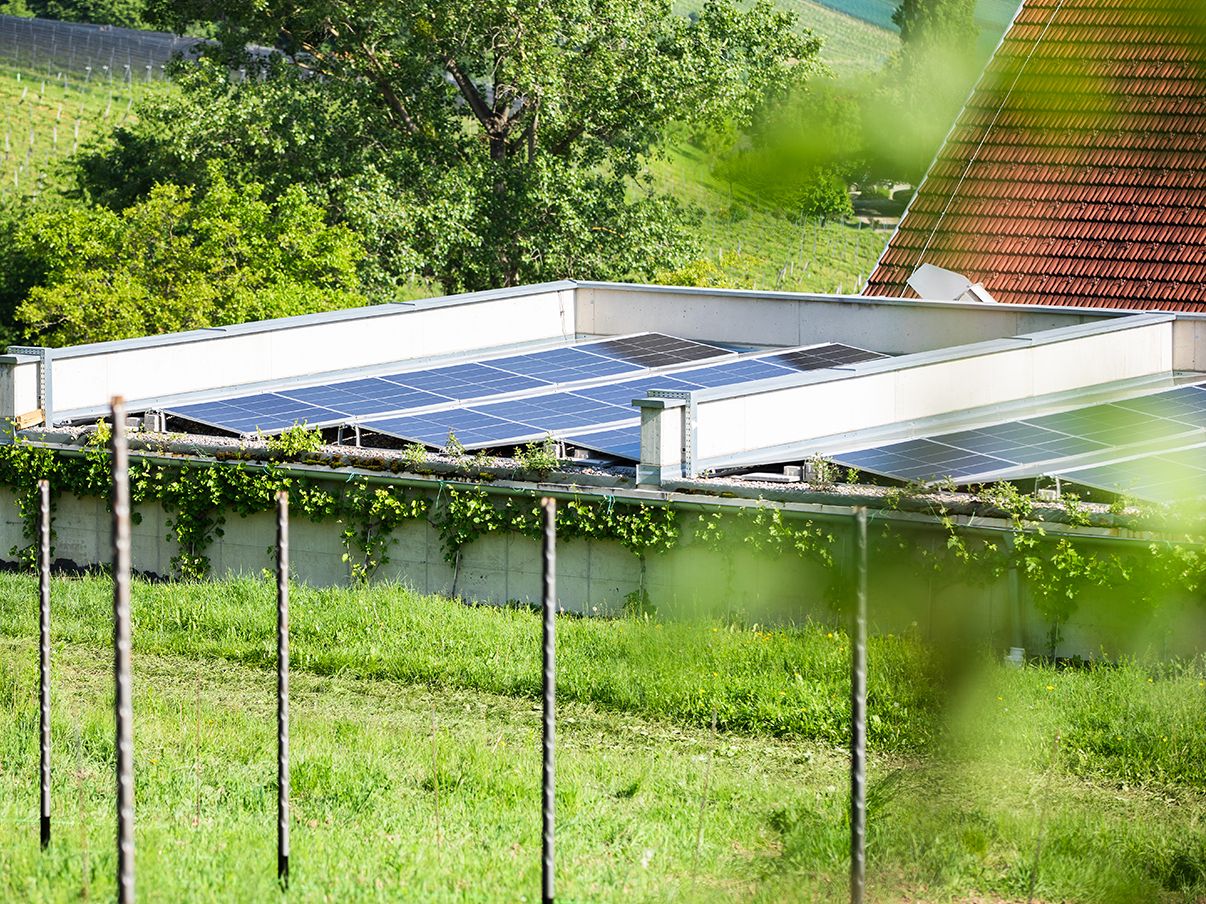 Photovoltaikanlage auf einer Wiese