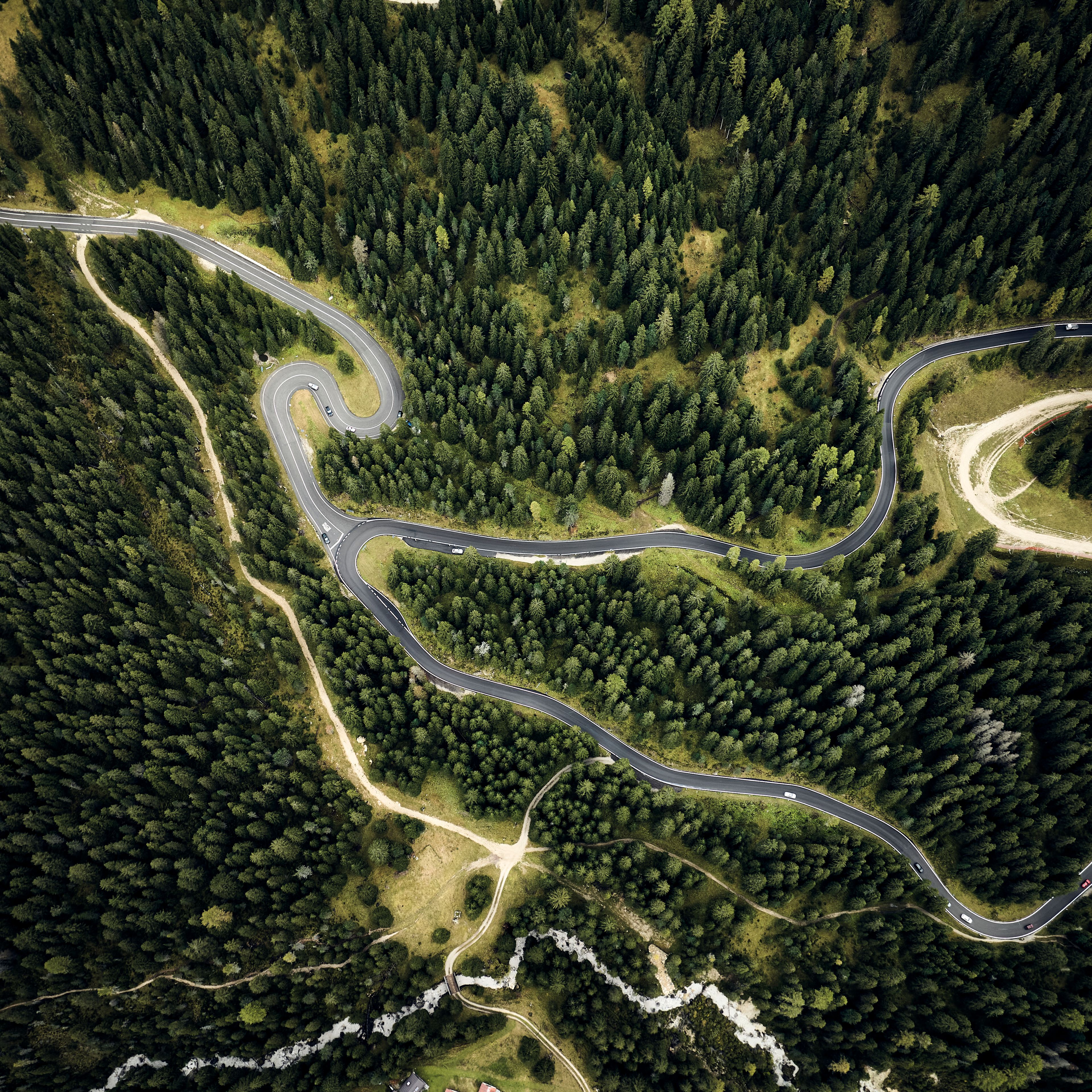 kurvenreiche Straßen durch einen Wald aus der Vogelperspektive